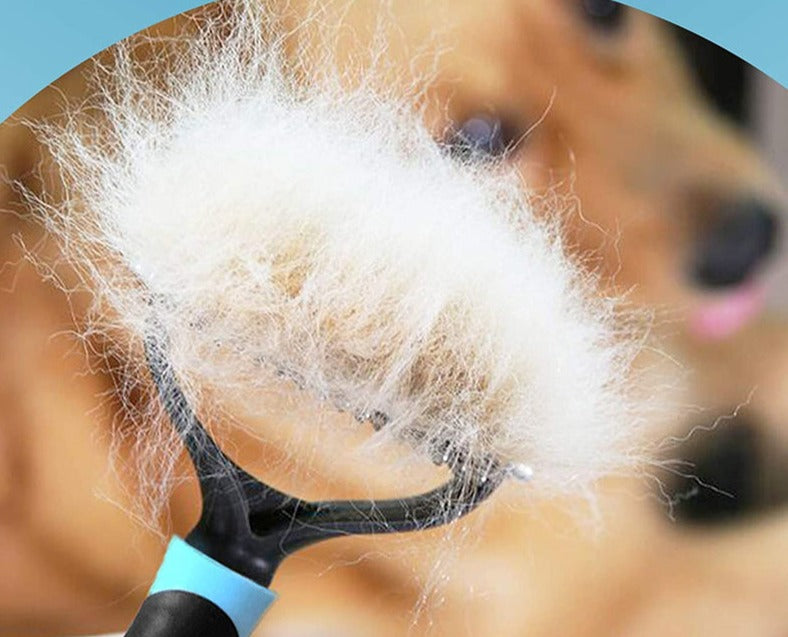 "FurFusion ProGlide a escova 2 em 1