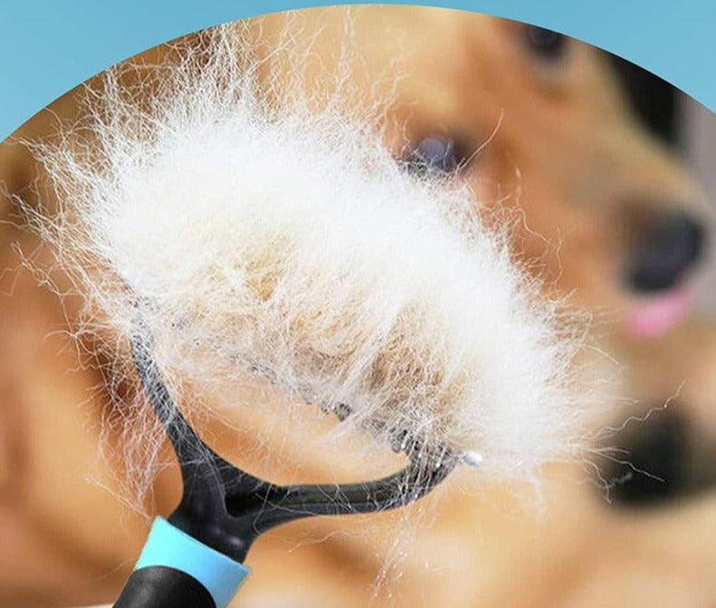 "FurFusion ProGlide a escova 2 em 1