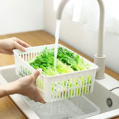 Cestas de Arrumação Frigorífico para Legumes e Frutas Frescas shopjponline.com