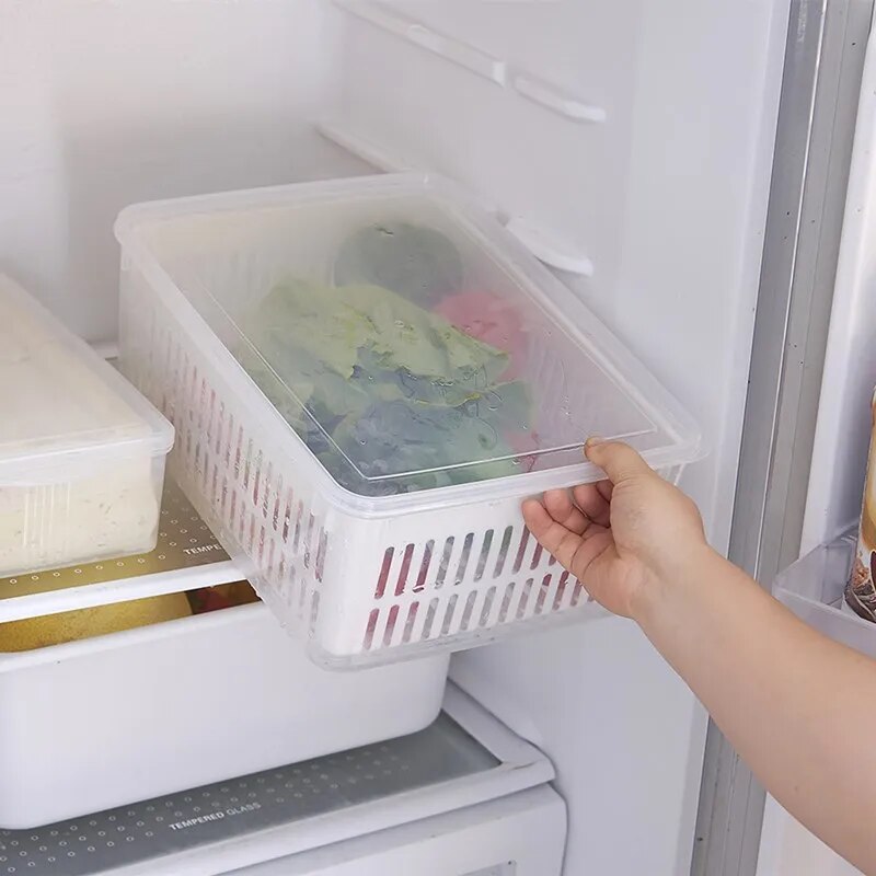 Cestas de Arrumação Frigorífico para Legumes e Frutas Frescas shopjponline.com