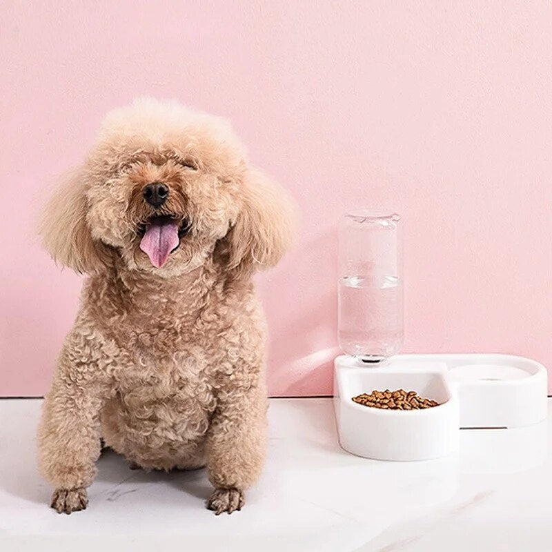 Alimentador Automático de Grandes Dimensões para Animais de Estimação, Bebedouro para Cães e Gatos shopjponline.com